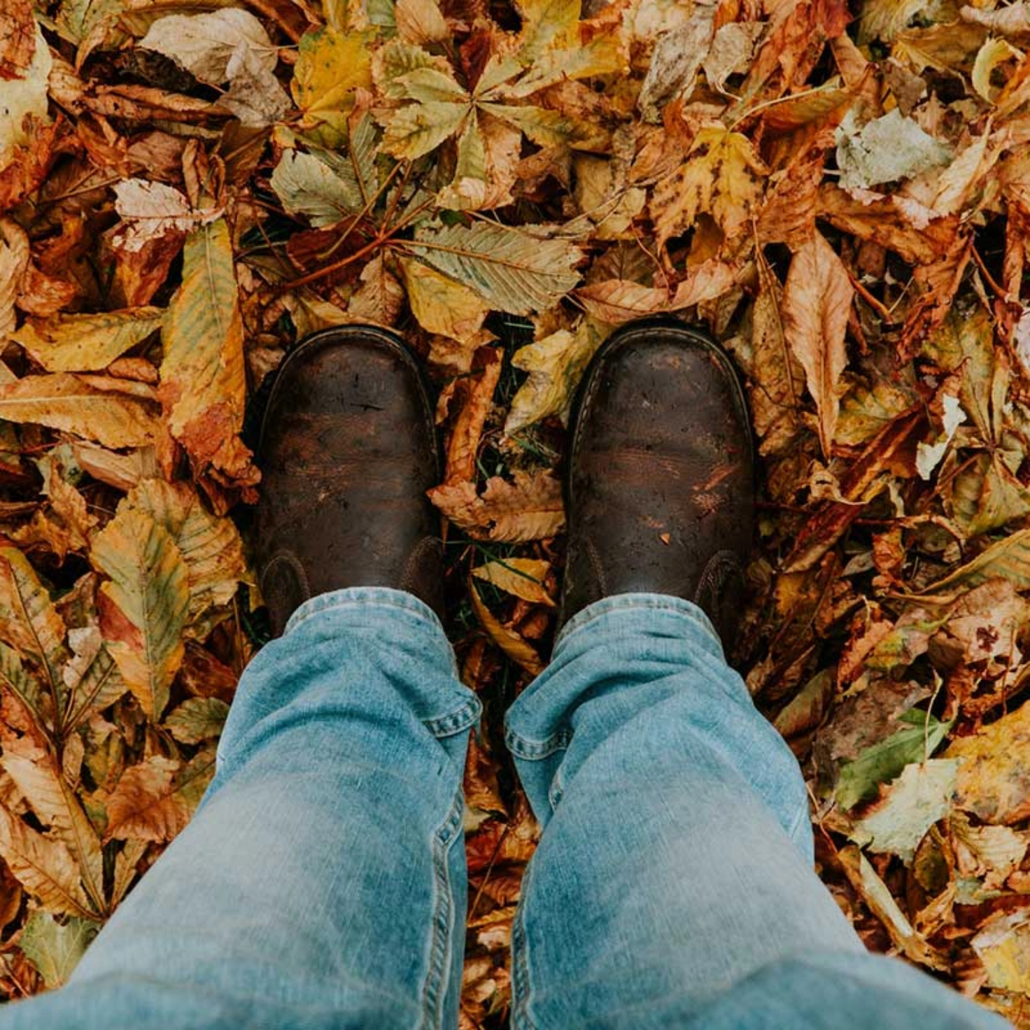 Person steht im Herbstlaub